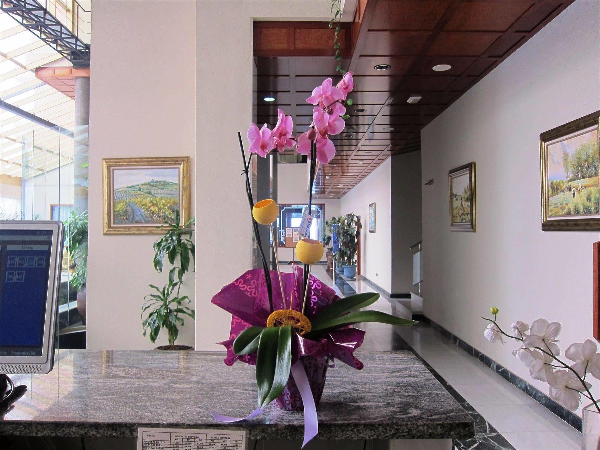 Don Angel - Adults Recommended Hotel Roquetas de Mar Ngoại thất bức ảnh